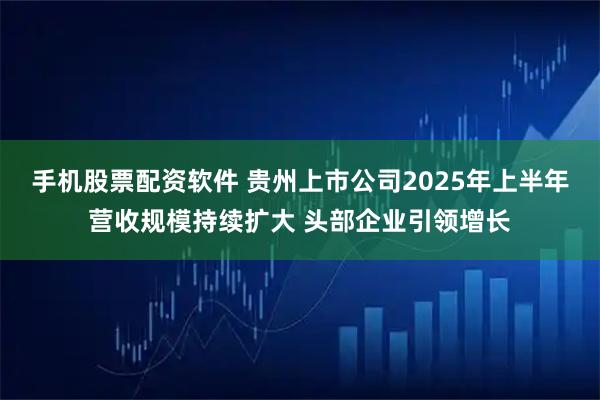 手机股票配资软件 贵州上市公司2025年上半年营收规模持续扩大 头部企业引领增长