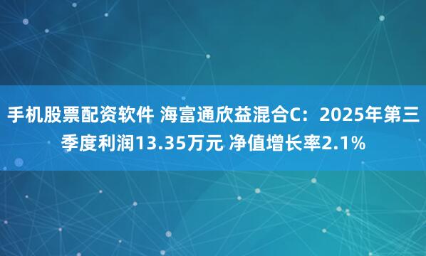 手机股票配资软件 海富通欣益混合C：2025年第三季度利润13.35万元 净值增长率2.1%