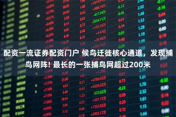 配资一流证券配资门户 候鸟迁徙核心通道，发现捕鸟网阵! 最长的一张捕鸟网超过200米