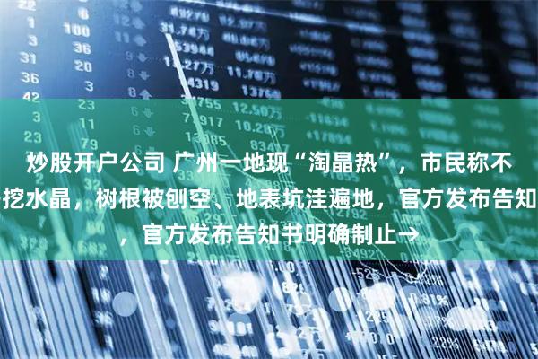 炒股开户公司 广州一地现“淘晶热”，市民称不少家长带孩子挖水晶，树根被刨空、地表坑洼遍地，官方发布告知书明确制止→