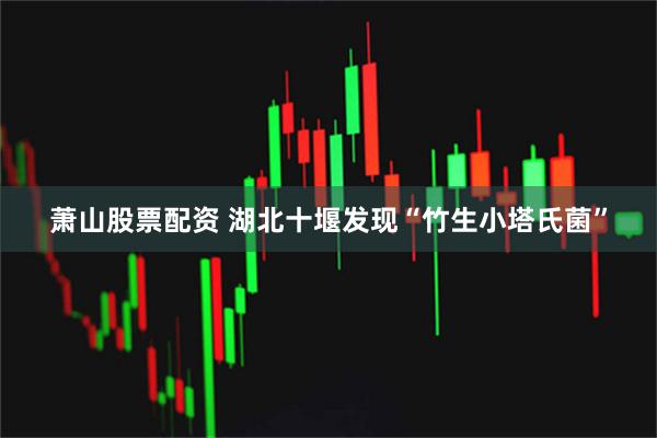 萧山股票配资 湖北十堰发现“竹生小塔氏菌”