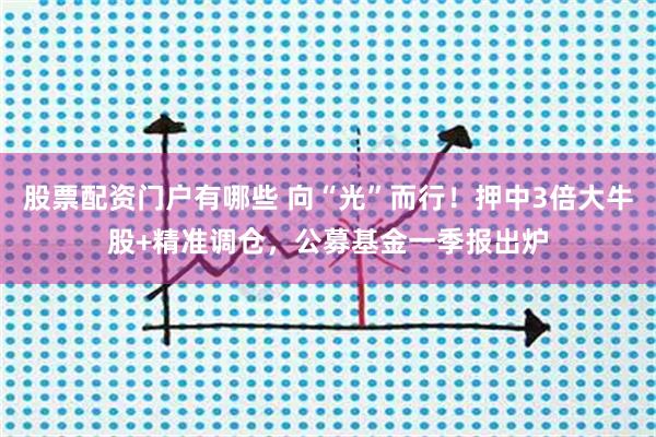 股票配资门户有哪些 向“光”而行！押中3倍大牛股+精准调仓，公募基金一季报出炉