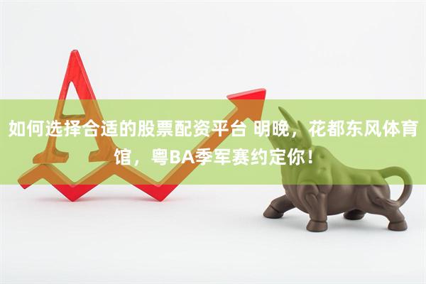 如何选择合适的股票配资平台 明晚,花都东风体育馆,粤BA季军赛约定你!